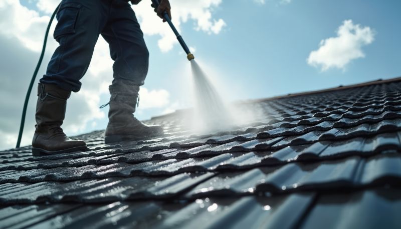 How Roof Cleaning Protects Roofing