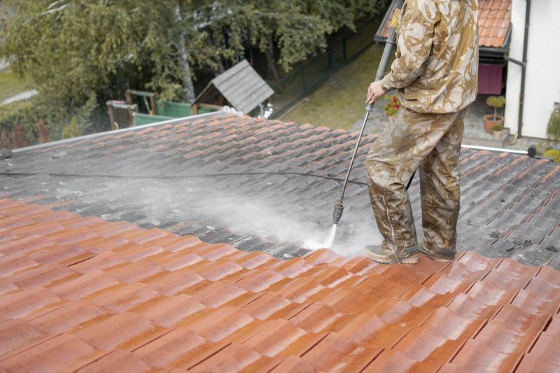 Removing Algae From Roofing